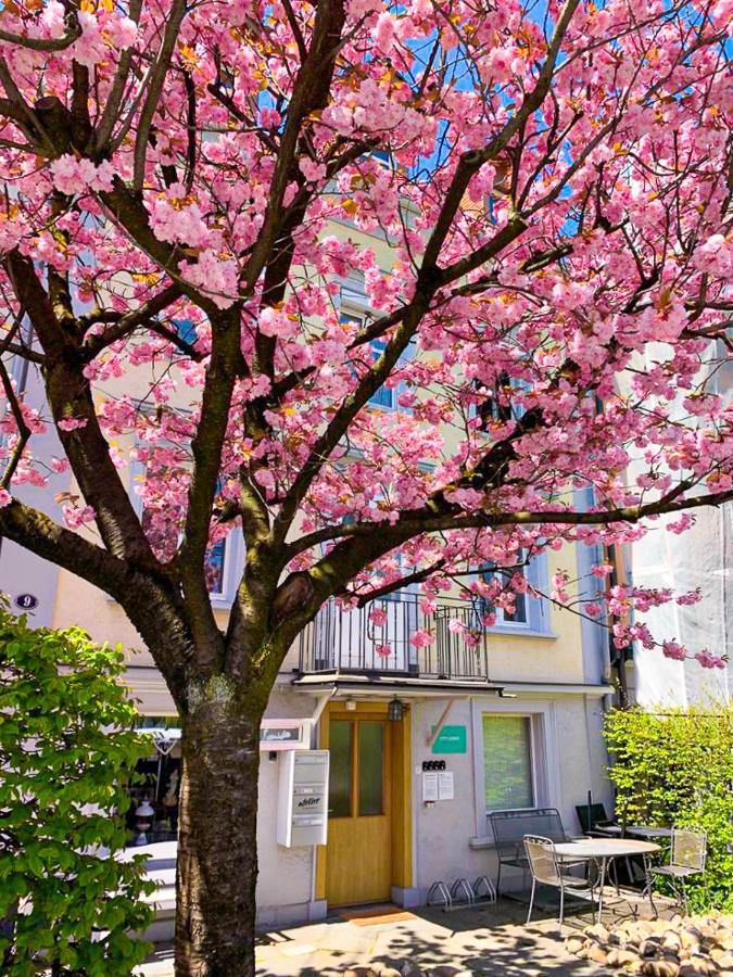 Citylodge St Gallen - 2 Min To Marktplatz Санкт-Галлен Экстерьер фото